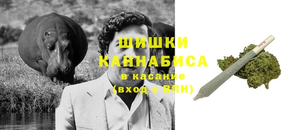 apvp Богородицк