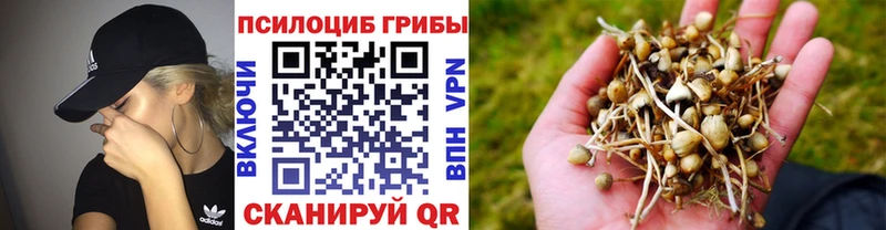 Галлюциногенные грибы MAGIC MUSHROOMS  hydra ТОР  Малая Вишера 