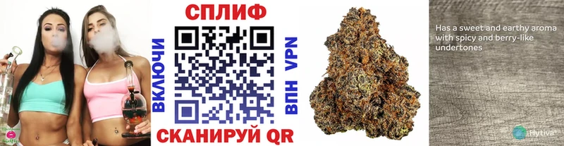 Канабис индика  ссылка на мегу ССЫЛКА  Малая Вишера 